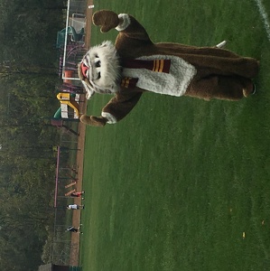 Team Page: Warriors (Wempa)